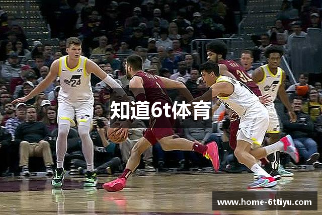 知道6t体育